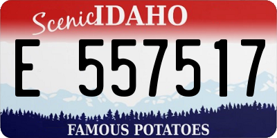 ID license plate E557517