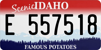 ID license plate E557518