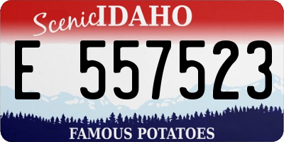 ID license plate E557523