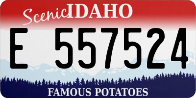 ID license plate E557524