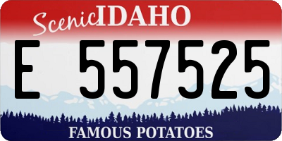 ID license plate E557525