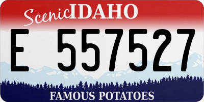 ID license plate E557527