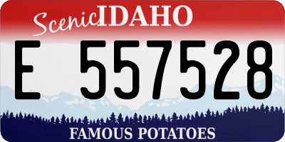 ID license plate E557528