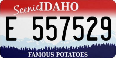 ID license plate E557529