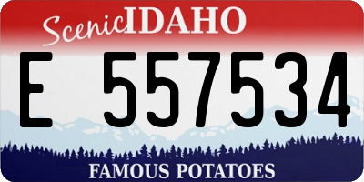 ID license plate E557534