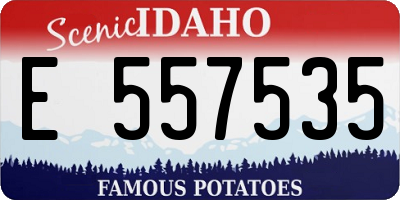 ID license plate E557535