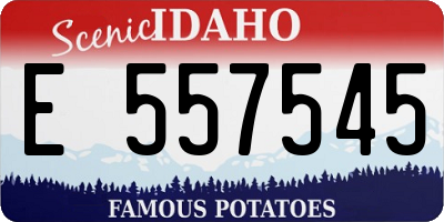 ID license plate E557545