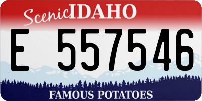 ID license plate E557546