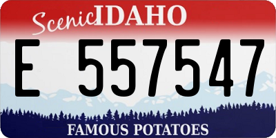 ID license plate E557547