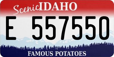 ID license plate E557550