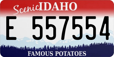 ID license plate E557554