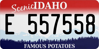ID license plate E557558