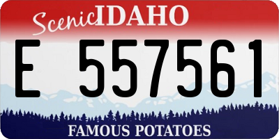 ID license plate E557561