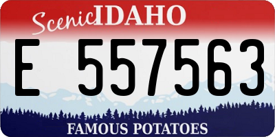 ID license plate E557563