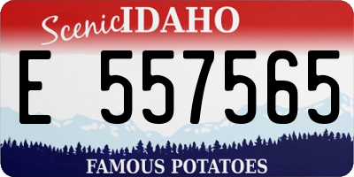 ID license plate E557565