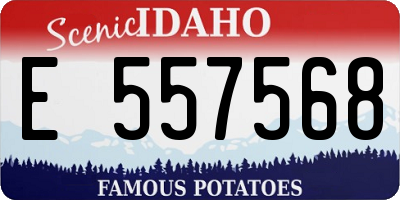 ID license plate E557568