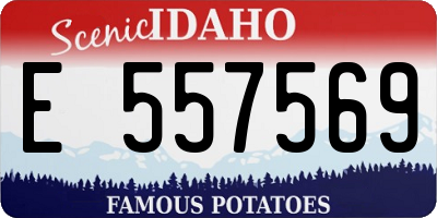 ID license plate E557569