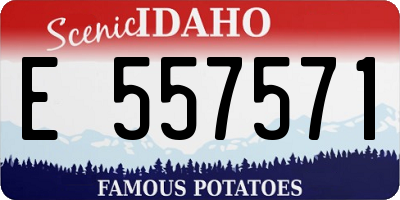 ID license plate E557571