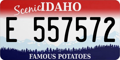 ID license plate E557572