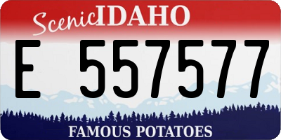 ID license plate E557577