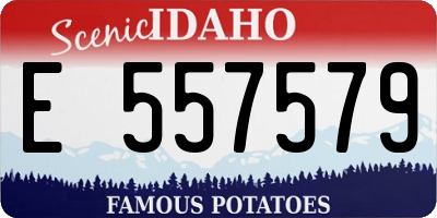 ID license plate E557579