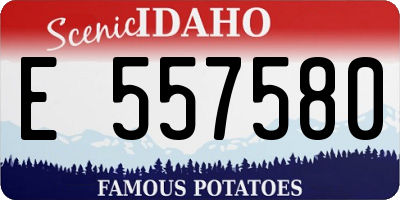 ID license plate E557580