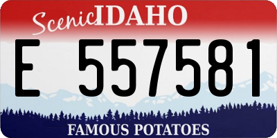 ID license plate E557581