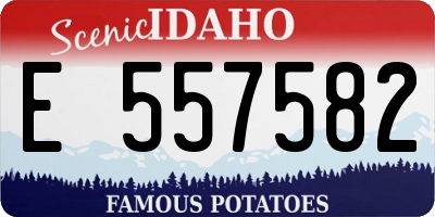 ID license plate E557582