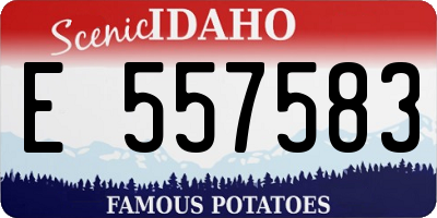 ID license plate E557583