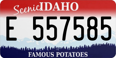 ID license plate E557585