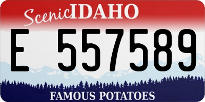 ID license plate E557589