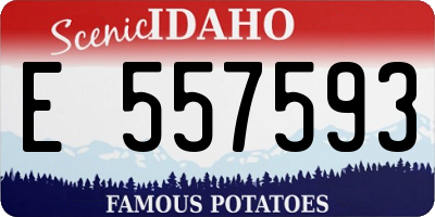 ID license plate E557593