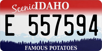 ID license plate E557594
