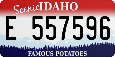 ID license plate E557596