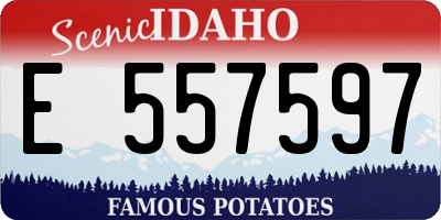 ID license plate E557597