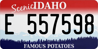 ID license plate E557598