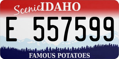 ID license plate E557599