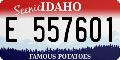 ID license plate E557601