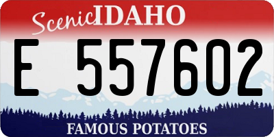 ID license plate E557602