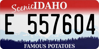 ID license plate E557604