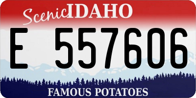 ID license plate E557606