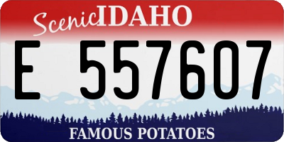 ID license plate E557607