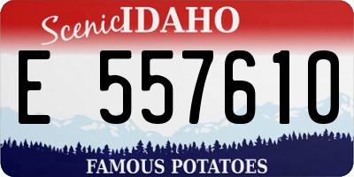 ID license plate E557610