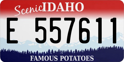 ID license plate E557611