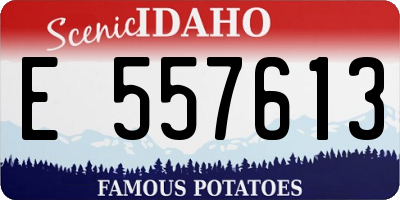 ID license plate E557613