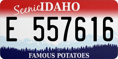 ID license plate E557616