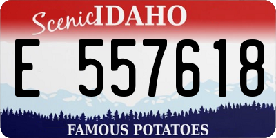 ID license plate E557618