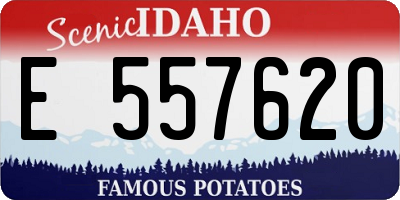 ID license plate E557620
