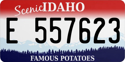 ID license plate E557623