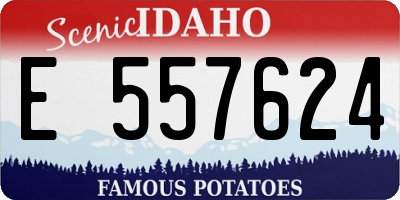 ID license plate E557624